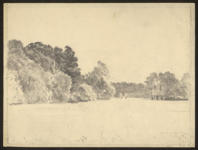 Wierzchlas. Nadleśnictwo