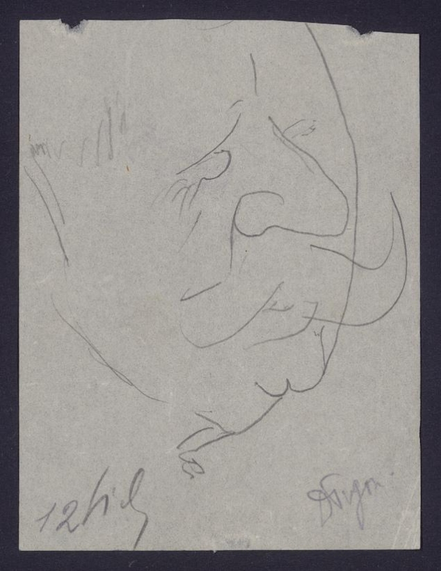 Władysław Długosz