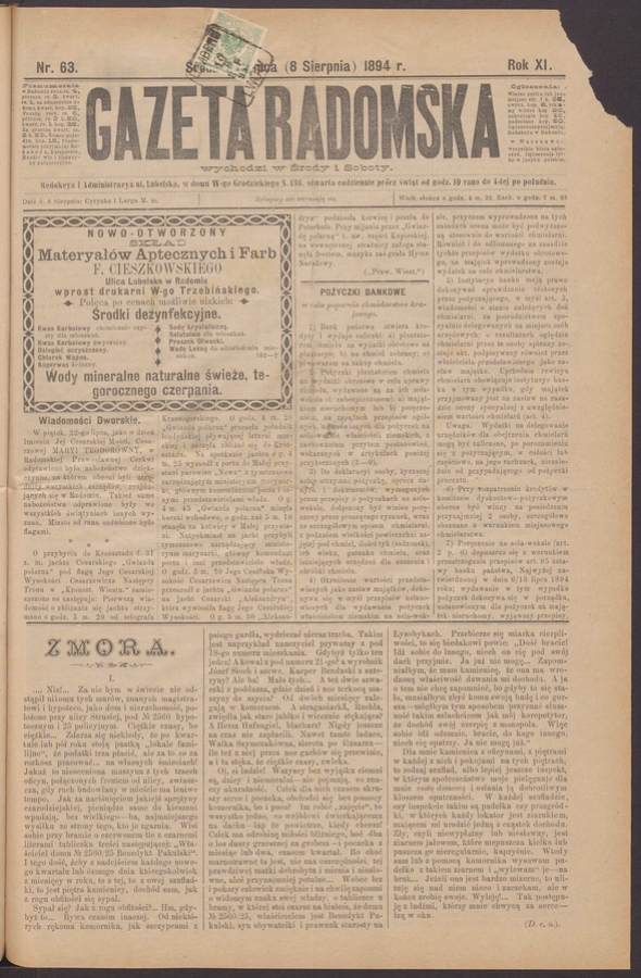 Gazeta Radomska. Rok&nbsp;11, 1894, numer&nbsp;63