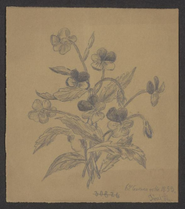 Wiązanka kwiat&oacute;w